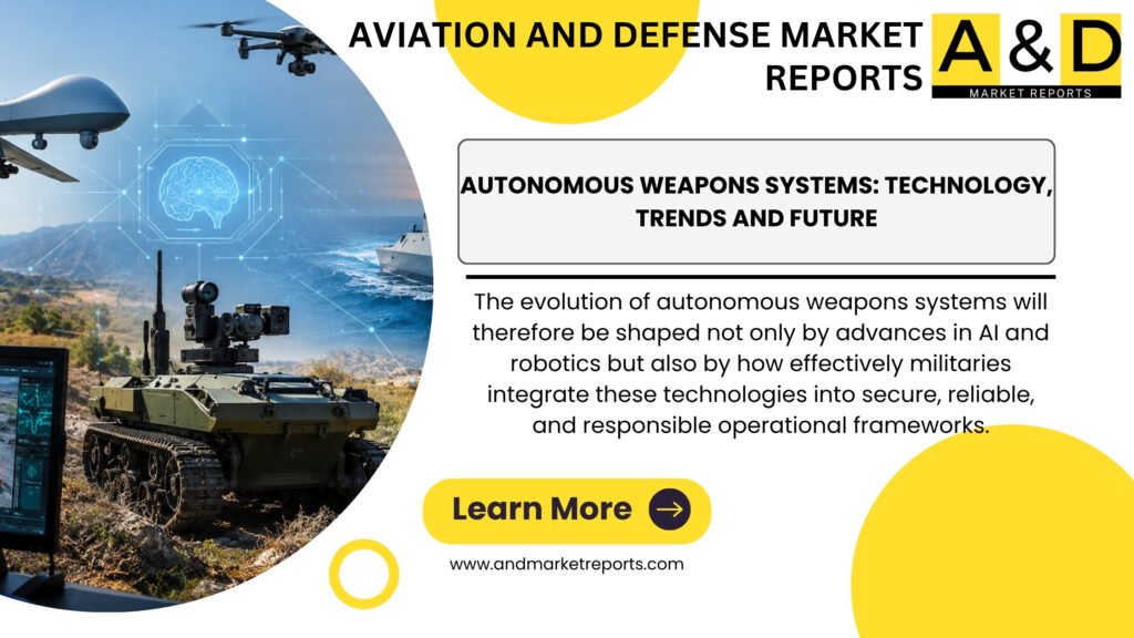 Autonomous Weapons